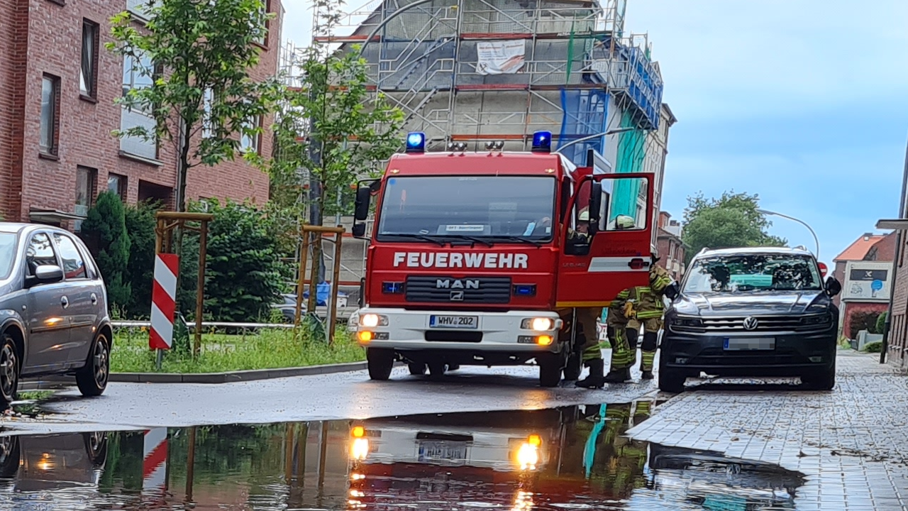 TSF-W – Detailansicht